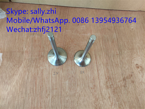 sdlg inlet valve 4110000054096/12159606 untuk Weichai Deutz TD226B WP6G125E22, bagian mesin weichai untuk dijual