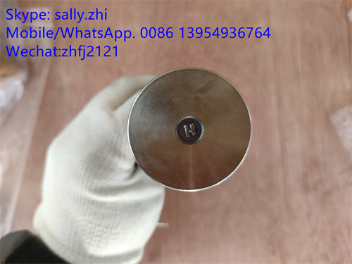 YUCHAI katup knalpot 4110000560144, suku cadang mesin yuchai untuk wheel loader LG936L