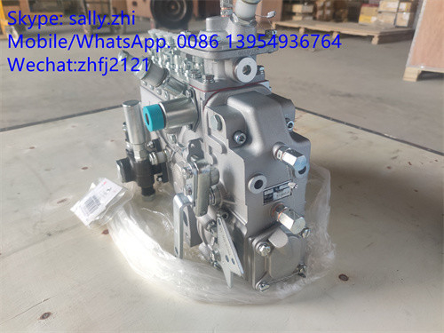Pompa injeksi 4110000991002 /13053063 untuk Weichai Deutz TD226B WP6G125E22, bagian mesin weichai