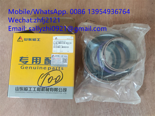 SDLG Sealing Ring Kit 4120000868101/4120001004101, SDLG suku cadang untuk wheel loader LG936/LG956/L958F/L968F