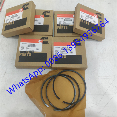 CUMMINS PISTON RING 3802429 untuk mesin CUMMINS 6CT, CUMMINS suku cadang