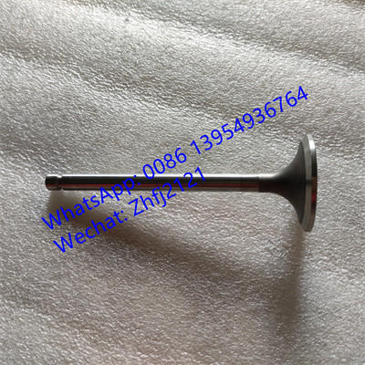 SDLG INLET VALVE 4110000560145, suku cadang mesin yuchai untuk mesin yuchai YC6B125-T10 ((B7626)