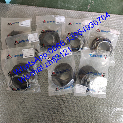 SDLG kit perbaikan rem 4120001739020, SDLG bagian loader untuk loader roda LG936/LG956/LG958