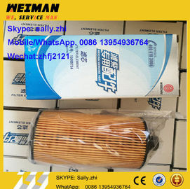 Filter minyak asli, 13055724 untuk mesin weichai TD226B, bagian mesin weichai untuk dijual