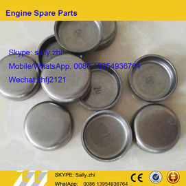 Plug baru, C3914035/ C3905401/ C3943808, Bagian mesin DCEC untuk Mesin Diesel DCEC 6BT5.9