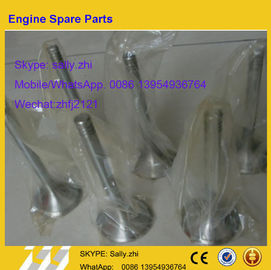 katup knalpot, 12159608 untuk mesin weichai TD226B, bagian mesin weichai untuk dijual