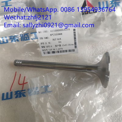 sdlg katup knalpot 4110000054215 untuk Weichai Deutz TD226B WP6G125E22, bagian mesin weichai untuk dijual