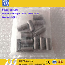 Original ZF Needle roller cage 0750119048, ZF bagian transmisi untuk transmisi zf 4wg180