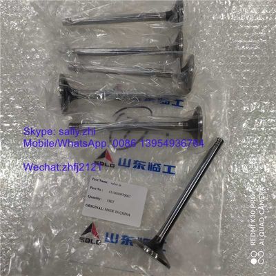 klep weichai asli di 4110000970063, bagian mesin utama untuk excavator LG6250E untuk dijual