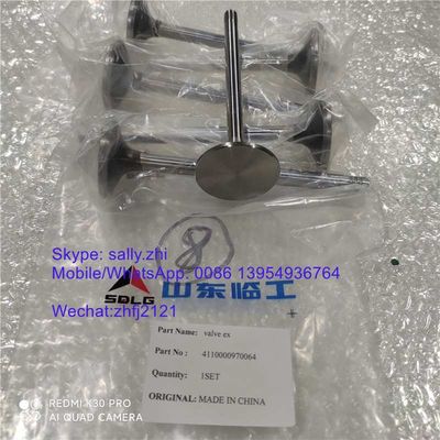 klep weichai asli EX 4110000970064, bagian mesin utama untuk excavator LG6250E untuk dijual